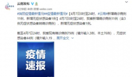 最新直播爆料新闻报道,最新热点事件深度解析