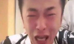 最新爆料的辛巴,最新爆料引发行业地震