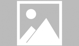 鸿埠园最新爆料信息,揭秘神秘项目背后的惊人真相