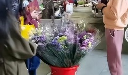 深圳网友杨先生最新爆料,揭秘最新热点事件内幕