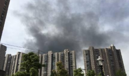 武汉白沙洲最新爆料,揭秘背后惊人真相